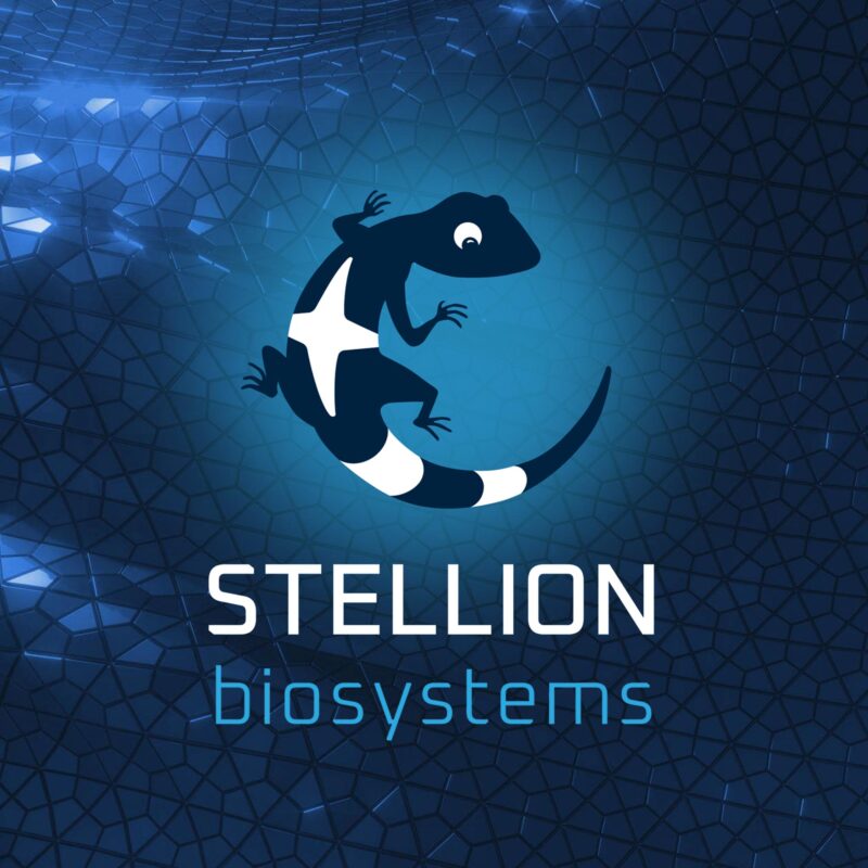 News - Platzhalter - Stellion Biosystems GmbH & Co. KG